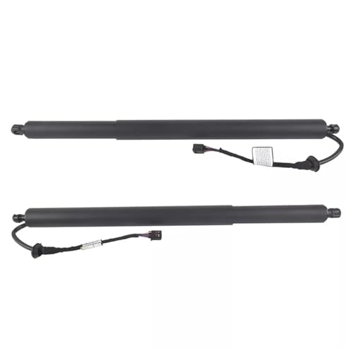 Support hayon électrique pour Hyundai Palisade 2020-2022 | Vérin hydraulique 81841S8100