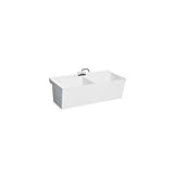 Swan MF20000WM.001 Veritek Bowl Wall Mount Double Basin Laundry Sink, 22-in L X 45-in H X 14-in H, White