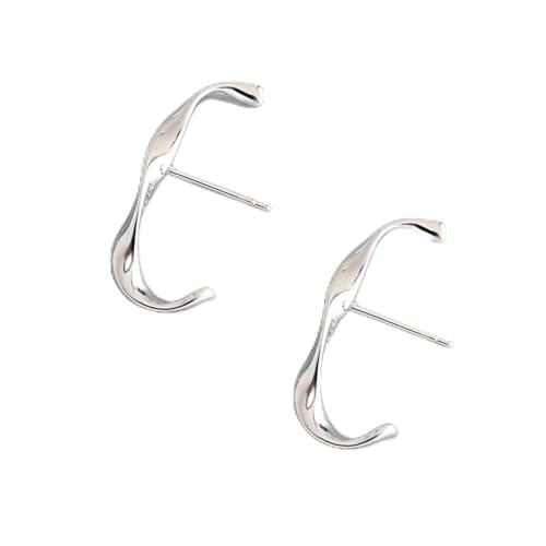 Boucles d'oreilles argent femme 925 clous d'oreilles punk chic