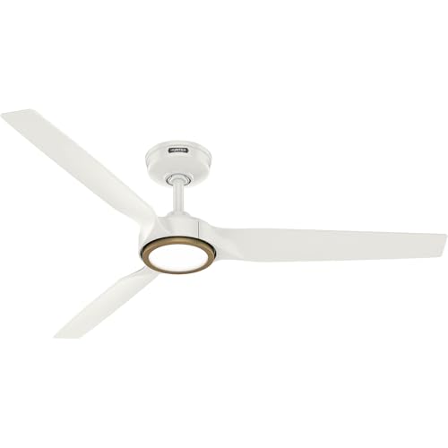 Ceiling Fan with Lights