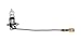 Grote Halogen Bulb, Spade Terminal, 24V, Clear