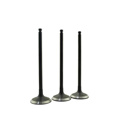 Soupape moteur Moto Steed400 pour réparer une perte de compression