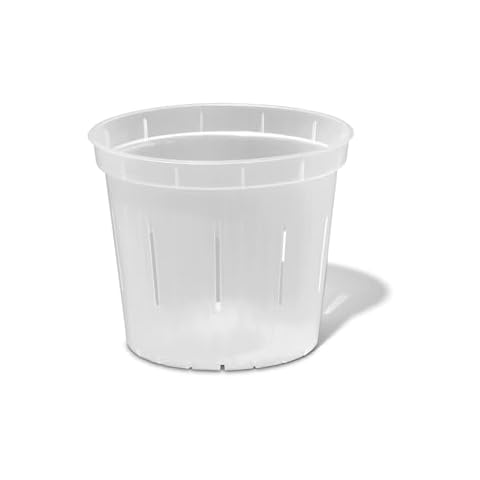 rePotme 4 inch Plant Pots - 6 Pack of Flower Pots (Crystal Clear) - Slotted Clear Planter for Indoor Plants - Perfect for Orchids, Succulents, Herbs, and More Cover