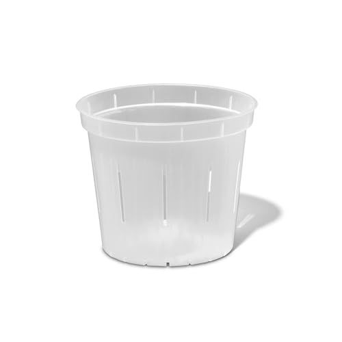 rePotme Crystal Clear Slotted Orchid Pots 4-inch (6-Pack)