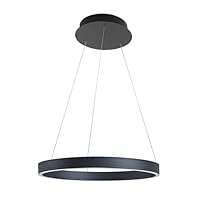 Arcchio Ceiling Light /'Answin/' (Modern) in Black Made of Metal for e.g. Living Room & Dining Room (1 Light Source,) from Pendant Lighting, lamp, Hanging lamp, lamp, Ceiling lamp, Hanging Light