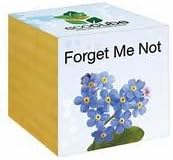 Plants in a Wooden Cube (Forget Me Not)