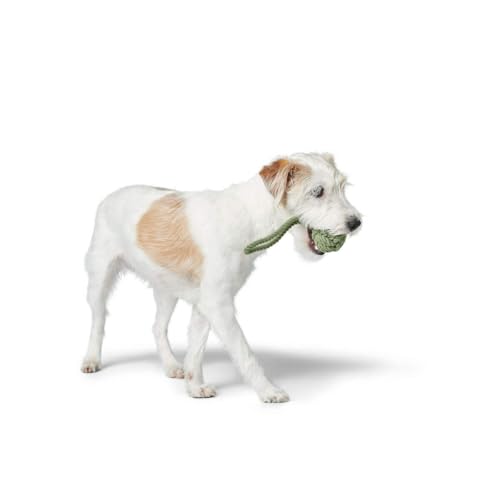 HUNTER Hundespielzeug Inari S lindgrün, Ø = 6 cm (20 cm Gesamtlänge)