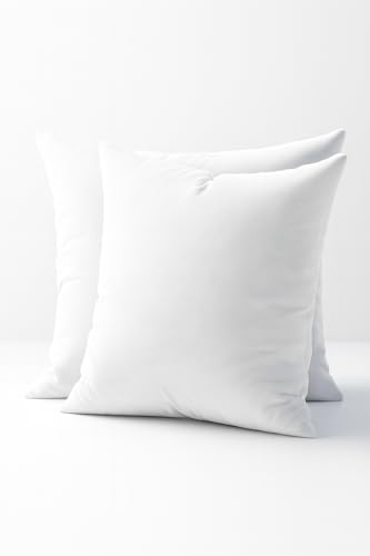 Rantizon 2 Almohadas de Terciopelo de 50x50 cm, cómodas y Suaves