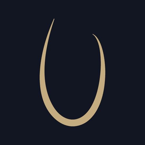 『The Renaissance Will Not Be Televised』のカバーアート