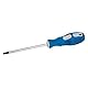 Silverline Allzweck-Schraubendreher TRX T20 x 100 mm (244578)