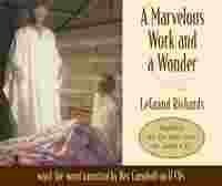 Marvelous Work and a Wonder 1591565421 Book Cover