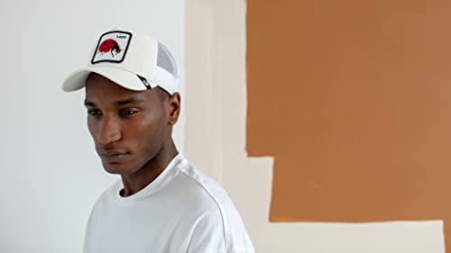Image of Goorin Bros. Women's Foxy Baby Baseball Hat