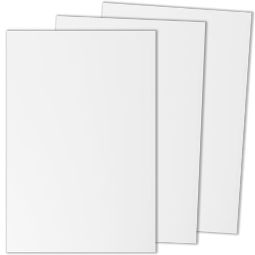 Feuille de plastique rigide PVC 3mm lot de 3 plaques 20x30 cm pour affichage et bricolage