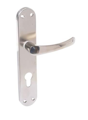 Aqbau Lot de poignées de porte - Pour plaque longue - Poignée de porte PZ - Cylindre profilé - Argent Satina