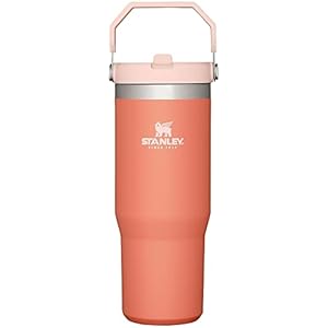 Stanley IceFlow Stainless Steel Tumbler with Straw, Vacuum Insulated Water Bottle for Home, Office or Car, Reusable Cup with Straw Leakproof Flip (Grapefruit)