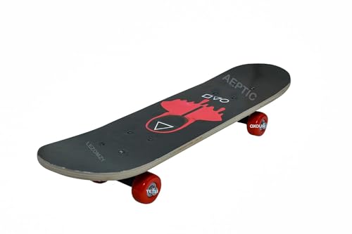 Image of BABAFAB Portable Handheld Lightweight Skateboard 24 inchX 6 inch Light Flashing 4 Wheels Mini Cruiser Skateboard, Beginners Longboard Suitable for Kids, Age (5-9 Years) Spider