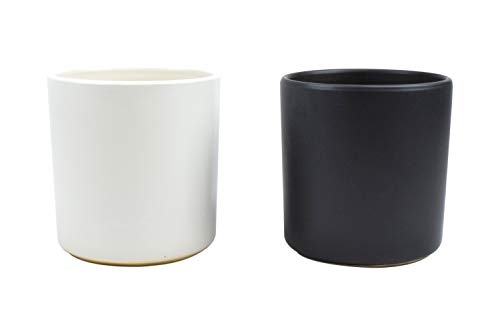 Bioexcel Flower Pot Pack of 2 - Indoor Mid Century Planter for Succulents