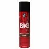 Salon Grafix Play it BIG Volumizing Dry Shampoo