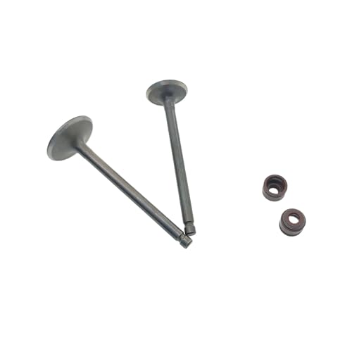 Joint d'huile de tige d'admission scooter WH100T pièce moteur SCR100 GCC 100