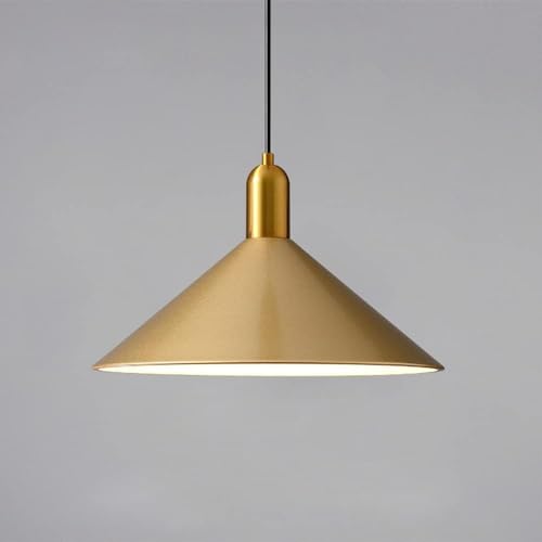 Chandelier iron nordic dining pour salon et bureau design