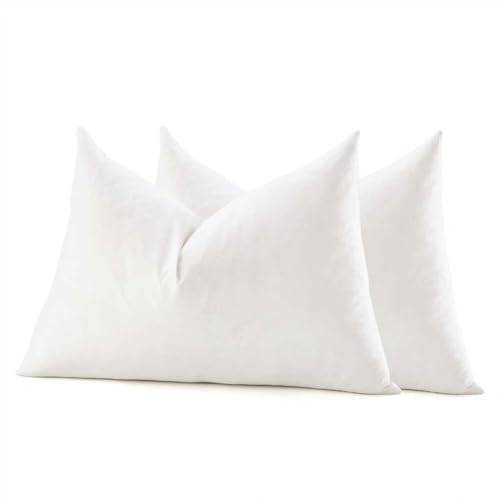 COZY ONE 12x16 Lumbar Pillow Inserts Set of 2 -