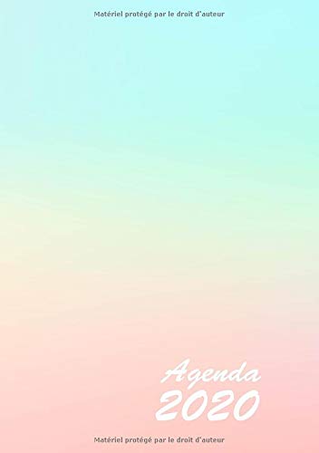 Télécharger Agenda: Semainier - Petit Format A5 - Pastel Rose Turquoise - Calendrier Janvier à Décembre Gratuit