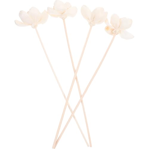 Diffuseur fleurs séchées coton blanc pour décoration murale salon - 2