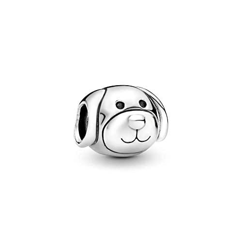 Wedanor Donna Ciondolo-Charm per cani devoti Argento 925 Colgantes con Zirconia cubica per Charm Bracciale