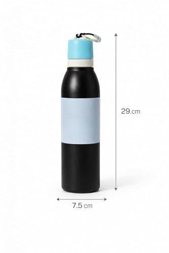 Image of Sports Water Bottle 24oz Leak Proof Stainless Steel Bottle with Built-In Straw Lid, BPA Free Reusable Drinking Bottle with Carry Loop for Gym Workout Travel Office (Crow Black, 720 ml)