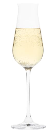 東洋佐々木ガラス シャンパングラス DESIRE RN-13254CS