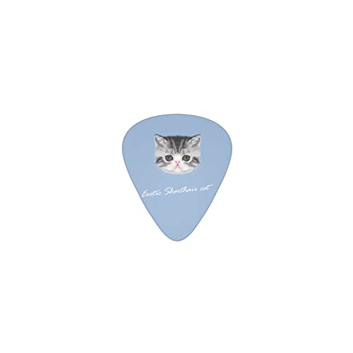 エキゾチックショートヘア 猫 デザインギターピック guitar pick ティアドロップ型 エレキギター/アコースティックギター/クラシックギター/ベース等の練習に最適な12枚セット