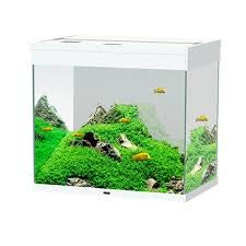 Pratiko new generation 100 Askoll 280282 Emotion PRO LED 60 con Filtro Esterno Pratiko 100, S, Bianco