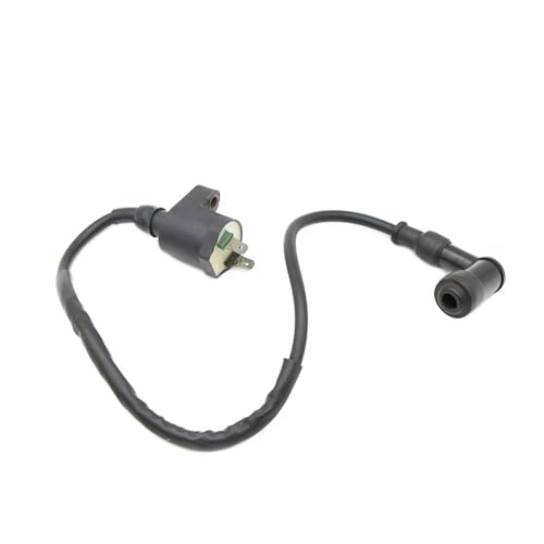 Bobina de encendido SYM para Symphony 125 S y X-Pro, soluciona tirones y fallos de arranque 6
