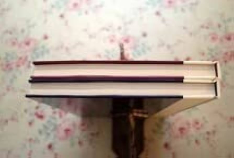 線描オーナメント１２００ 貴重】線描 オーナメント 1200 全1巻2分冊 学研 清水要 専門誌