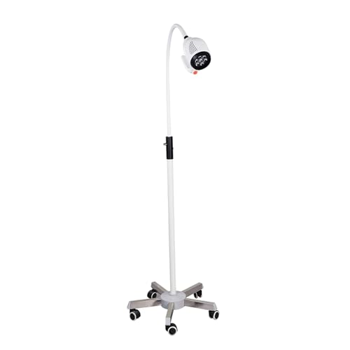 Lampe d'examen médicale LED pour animaux avec socle mobile à roues