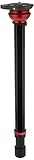 columna central corta manfrotto 41,7 cm de longitud Manfrotto 555B - Columna Central para trípodes, Negro