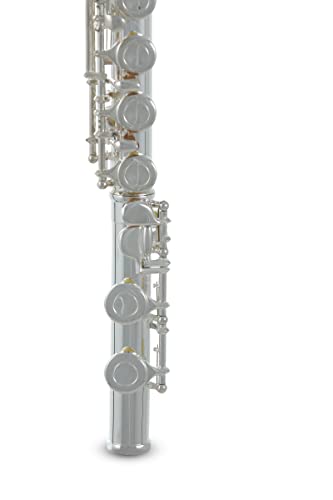 Roy Benson Rbfl-402E Student Flute #TOP7