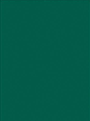 Pacon SunWorks Construction Paper, 9