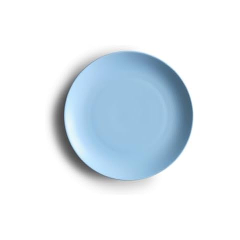 Year & Day Ceramic Set of 4 Salad Plates, Lagoon Blue, 8.25 Inch Cover