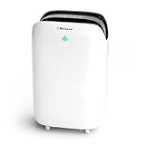 Belaco 20L Dehumidifier for Home & Basement, Energy Efficient Moisture Removal, Digital Humidity Control, Laundry Drying Mode, Quiet Operation, Continuous Drain