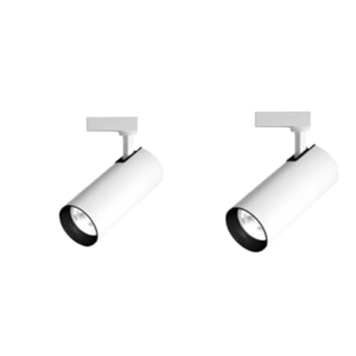 Focos Led Interior Techo,Riel Focos Foco de riel magnético LED con rejilla, reflector, moderno, empotrado, flexible, lineal, CA 220 V(30W x 2PCS,WHITE_WARM LIGHT 3000K)