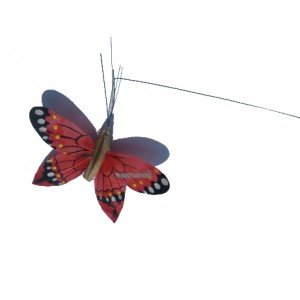 Papillon solaire Héliobil