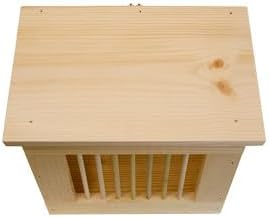 Pine Squirrel Slammer Feeder