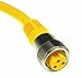 RKV 126-2M, Cordset; Str 11/8-16UN Female 12pos to Cut End, 12x16AWG 2M, PVC Yellow, U0920-92