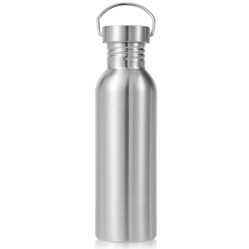 Volhoply 26oz Stainless Steel Water Bottle with Handle