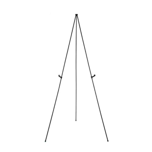 fBXvCC[[X^hAfBXvCp܂肽݃C[[Aʐ^AA[g[NAzEFfBOTC̓WɍœK