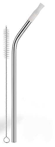 EQARD Pailles réutilisables en acier inoxydable avec brosses
