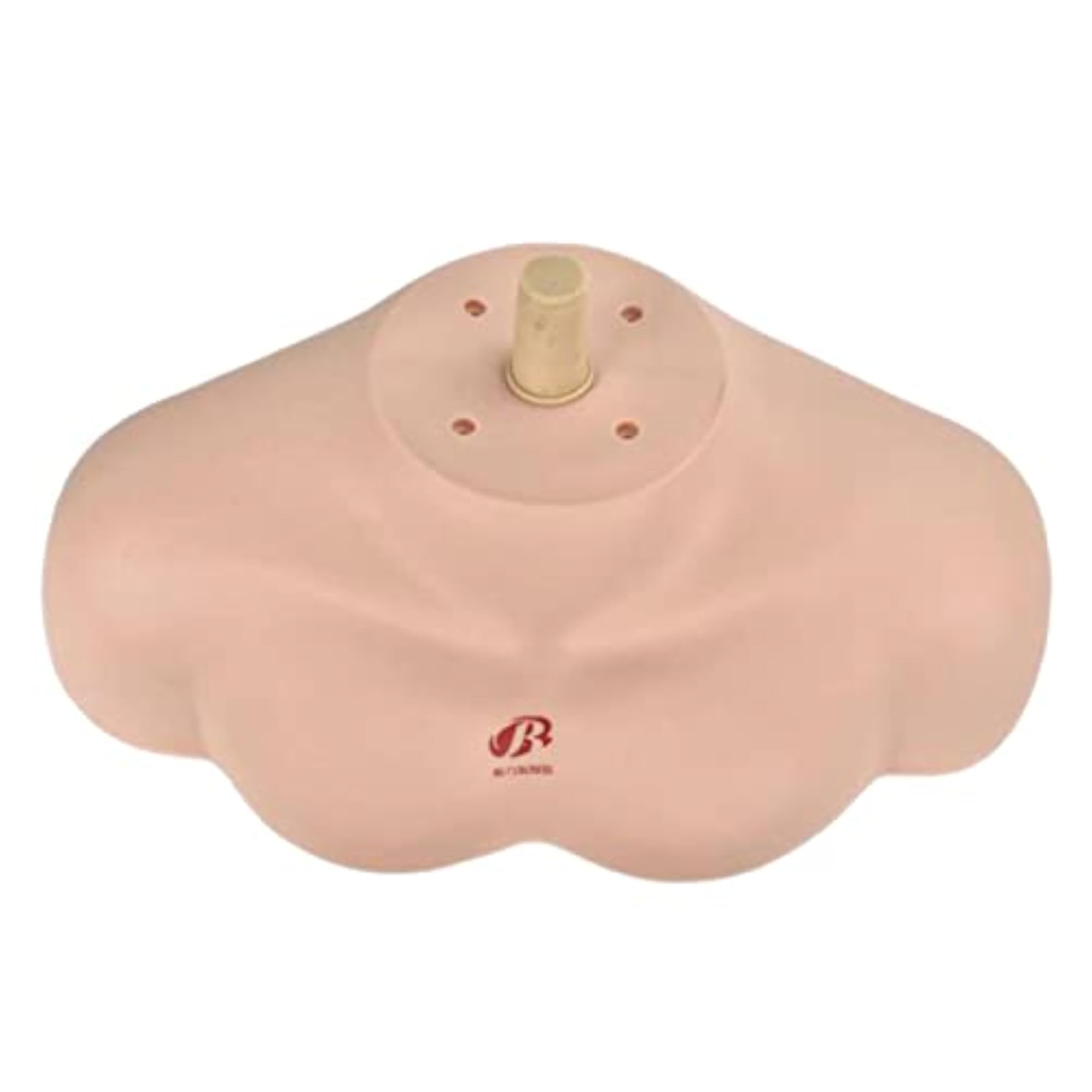 Cosmetology Makeup Mannequin Holder Shoulder Display Bust Base