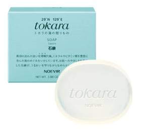 mGrA gJ̊C̐Ό(110g)