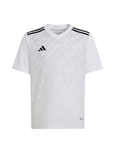 [AfB_X] TbJ[  TVc LbY `[ ACR 23 W[W[ EWT69 zCg (HR2651)